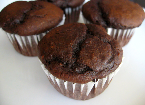 Chocolate Cupcake